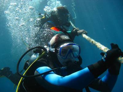 PADI Open Water Diver Course - Diversland - Playa Del Carmen, Mexico